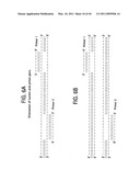 Recombinase polymerase amplification diagram and image