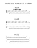 Recombinase polymerase amplification diagram and image