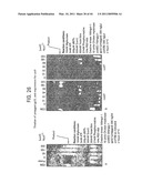 Recombinase polymerase amplification diagram and image