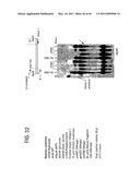 Recombinase polymerase amplification diagram and image