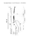 Recombinase polymerase amplification diagram and image