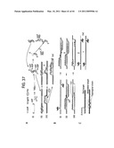 Recombinase polymerase amplification diagram and image