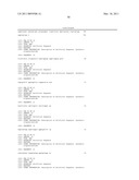 Recombinase polymerase amplification diagram and image