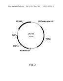 Polypeptides Having Xylanase Activity And Polynucleotides Encoding Same diagram and image