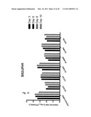 EFFICIENT CELL CULTURE SYSTEM FOR HEPATITIS C VIRUS GENOTYPE 1A AND 1B diagram and image