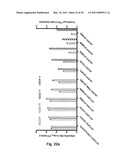 EFFICIENT CELL CULTURE SYSTEM FOR HEPATITIS C VIRUS GENOTYPE 1A AND 1B diagram and image