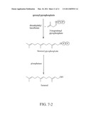 PRODUCTION OF ISOPRENOIDS diagram and image