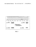 REPROGRAMMING A CELL BY INDUCING A PLURIPOTENT GENE THROUGH USE OF AN HDAC MODULATOR diagram and image