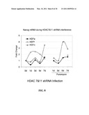 REPROGRAMMING A CELL BY INDUCING A PLURIPOTENT GENE THROUGH USE OF AN HDAC MODULATOR diagram and image