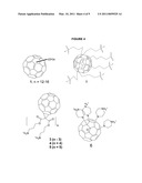 METHODS FOR GENETIC PLANT TRANSFORMATION USING WATER-SOLUBLE FULLERENE DERIVATIVES diagram and image