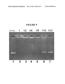 METHODS FOR GENETIC PLANT TRANSFORMATION USING WATER-SOLUBLE FULLERENE DERIVATIVES diagram and image