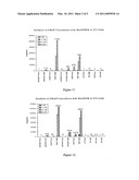 Novel Ecdysone Receptor-Based Inducible Gene Expression System diagram and image