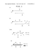 Method for Obtaining Information on Formation of Double-Stranded Nucleic Acid diagram and image