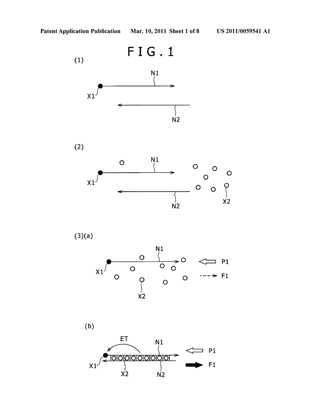 Method for Obtaining Information on Formation of Double-Stranded Nucleic Acid - diagram, schematic, and image 02