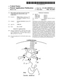 BRANCHED AND MULTI-CHAIN NUCLEIC ACID SWITCHES FOR SENSING AND SCREENING diagram and image