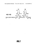 BRANCHED AND MULTI-CHAIN NUCLEIC ACID SWITCHES FOR SENSING AND SCREENING diagram and image