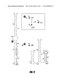 BRANCHED AND MULTI-CHAIN NUCLEIC ACID SWITCHES FOR SENSING AND SCREENING diagram and image