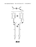 BRANCHED AND MULTI-CHAIN NUCLEIC ACID SWITCHES FOR SENSING AND SCREENING diagram and image