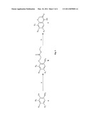 PHYTOTOXIC HALOGENATED DERIVATIVES OF BENZOXAZINONES diagram and image