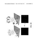 FUNCTIONALIZED POLYDIACETYLENE SENSORS diagram and image