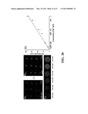 FUNCTIONALIZED POLYDIACETYLENE SENSORS diagram and image