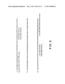 PROCESS FOR AMPLIFYING NUCLEIC ACIDS diagram and image