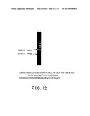 PROCESS FOR AMPLIFYING NUCLEIC ACIDS diagram and image