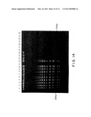 PROCESS FOR AMPLIFYING NUCLEIC ACIDS diagram and image