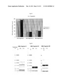 Method for Increasing Enzymatic Reactivity diagram and image