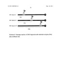 Method for Increasing Enzymatic Reactivity diagram and image