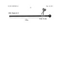 Method for Increasing Enzymatic Reactivity diagram and image