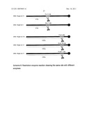 Method for Increasing Enzymatic Reactivity diagram and image