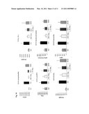 TREATMENT OF DISEASES AND CONDITIONS MEDIATED BY EICOSANOIDS diagram and image