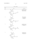 COMPOUNDS FOR THE TREATMENT OF PROLIFERATIVE DISORDERS diagram and image