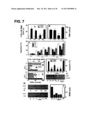 PRO-OXIDANT ANTI-CANCER COMPOUNDS diagram and image