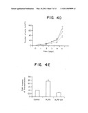 Kruppel-like factor 6 (KLF6), a tumor suppressor protein, and diagnostics, therapeutics, and screening based on this protein diagram and image