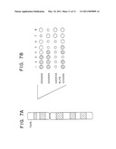 Kruppel-like factor 6 (KLF6), a tumor suppressor protein, and diagnostics, therapeutics, and screening based on this protein diagram and image