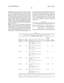 Kruppel-like factor 6 (KLF6), a tumor suppressor protein, and diagnostics, therapeutics, and screening based on this protein diagram and image