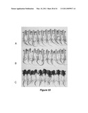 VITAMIN D3 AND ANALOGS THEREOF FOR TREATING ALOPECIA diagram and image