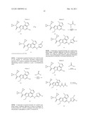 JAK2 INHIBITORS AND THEIR USE FOR THE TREATMENT OF MYELOPROLIFERATIVE DISEASES AND CANCER diagram and image