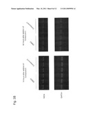 ANILINE DERIVATIVE HAVING ANTI-RNA VIRAL ACTIVITY diagram and image