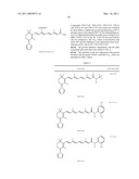 NOVEL RETINAMIDE RETINOIC ACID METABOLISM BLOCKING AGENTS diagram and image