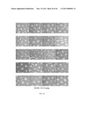 LONIDAMINE ANALOGUES FOR FERTILITY MANAGEMENT diagram and image