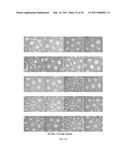 LONIDAMINE ANALOGUES FOR FERTILITY MANAGEMENT diagram and image