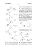 LONIDAMINE ANALOGUES FOR FERTILITY MANAGEMENT diagram and image