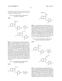 LONIDAMINE ANALOGUES FOR FERTILITY MANAGEMENT diagram and image