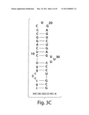 Aptamer Therapeutics Useful in the Treatment of Complement-Related Disorders diagram and image