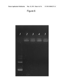 CHARGE CONVERSIONAL TERNARY POLYPLEX diagram and image