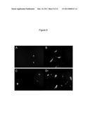 CHARGE CONVERSIONAL TERNARY POLYPLEX diagram and image