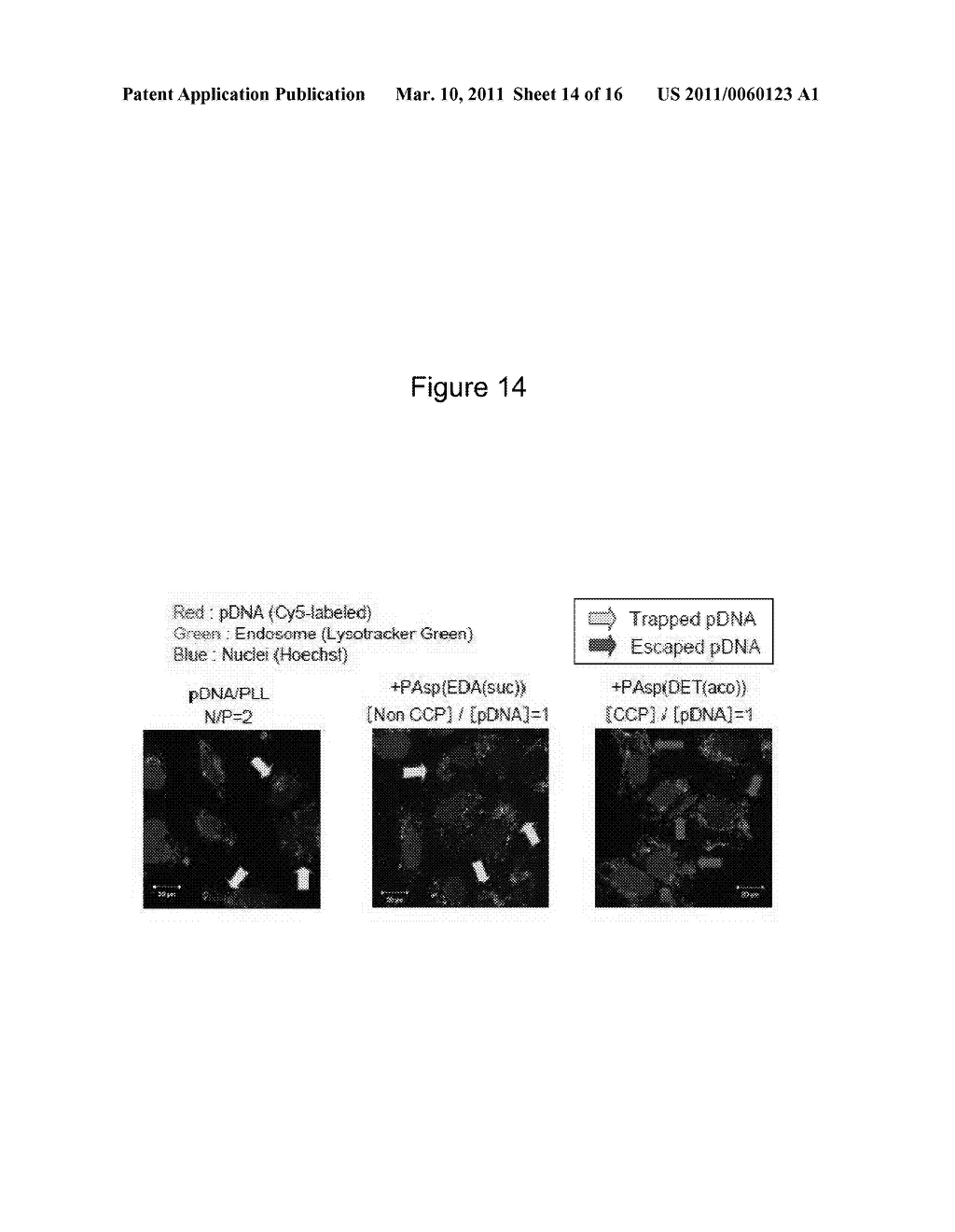 CHARGE CONVERSIONAL TERNARY POLYPLEX - diagram, schematic, and image 15